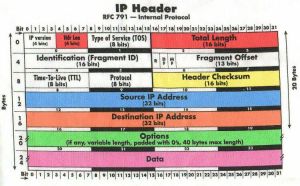IP-Header